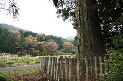 IMG_7439S1.jpg